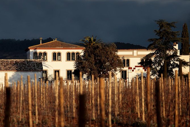 Penedes Wine & Cava Tasting & 4WD Vineyards Tour from Barcelona - Three still wines and a closer look at winemaking