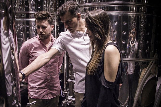 Penedes Wine & Cava Tasting & 4WD Vineyards Tour from Barcelona - Is $145.17 a fair price?