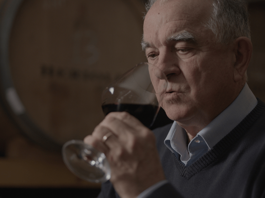 Perugia Winery Visit & Tasting near the Lake Trasimeno - Key points at a glance
