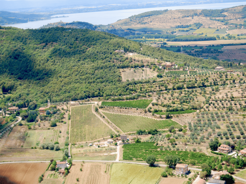 Perugia Winery Visit & Tasting near the Lake Trasimeno - What the $55.80 price includes