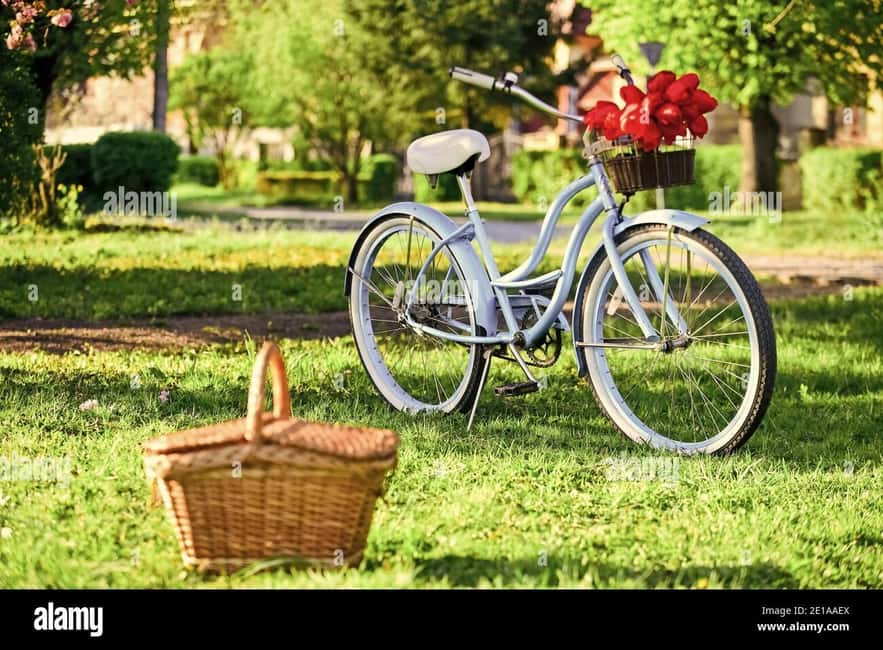 Picnic in the middle of a vineyard by e-bike - Who will enjoy this ride most?