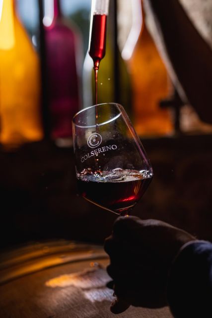 Picnic in the organic vineyards of Brunello - Key points to know before booking
