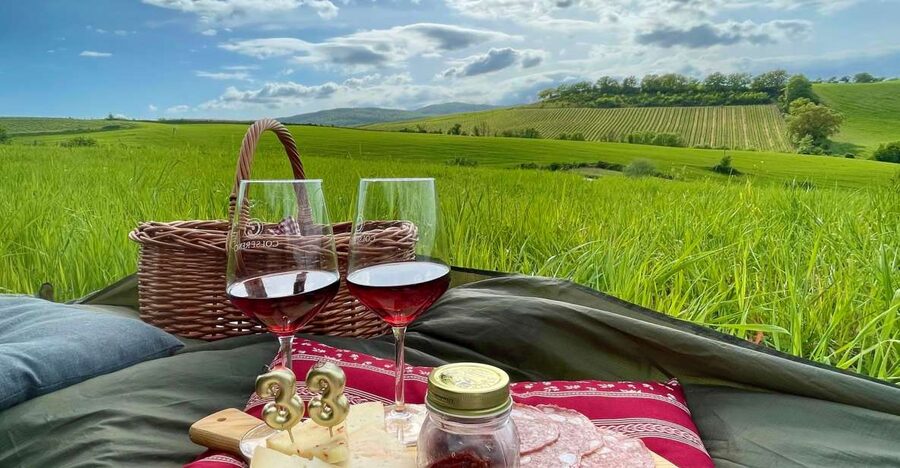 Picnic in the organic vineyards of Brunello - Why the private setup matters