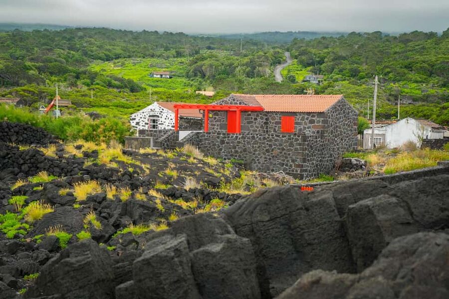 Pico Island: Wine and Vineyards Tour with Tasting - Key points to know before you book