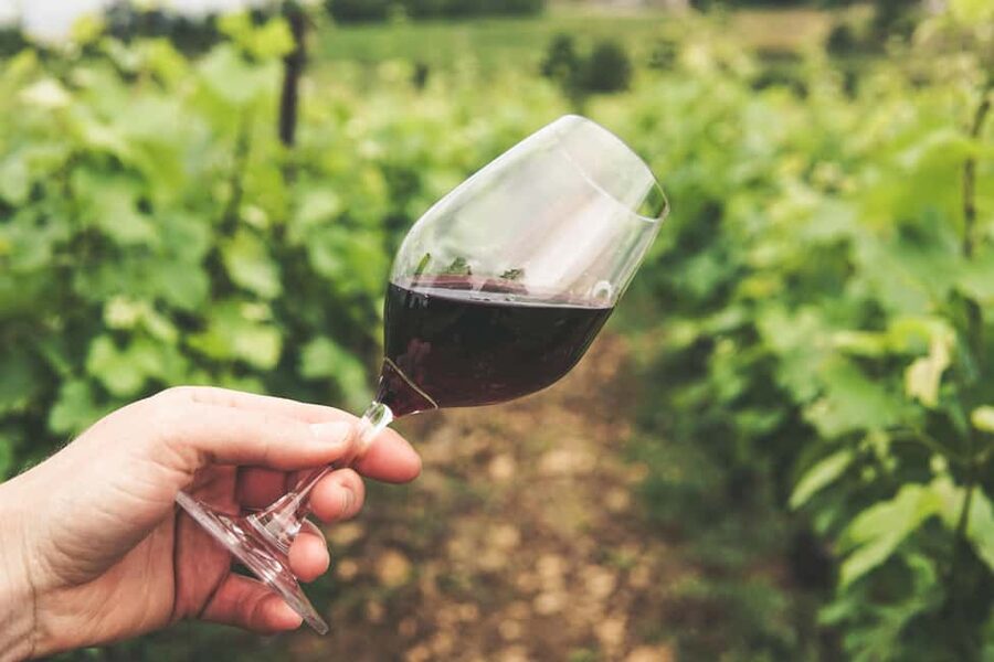 Pico Island: Wine and Vineyards Tour with Tasting - Old adegas and Pico’s golden wine age