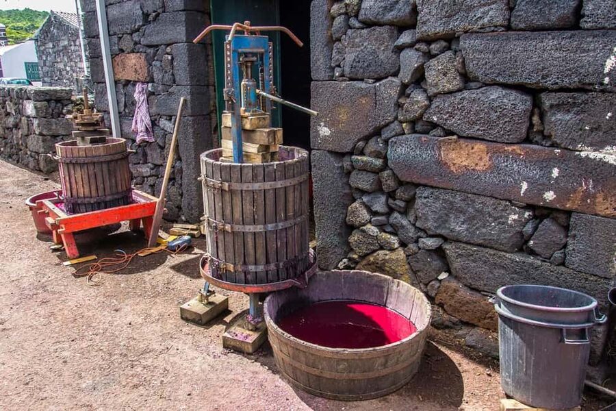 Pico Island: Wine and Vineyards Tour with Tasting - What the $61 price includes