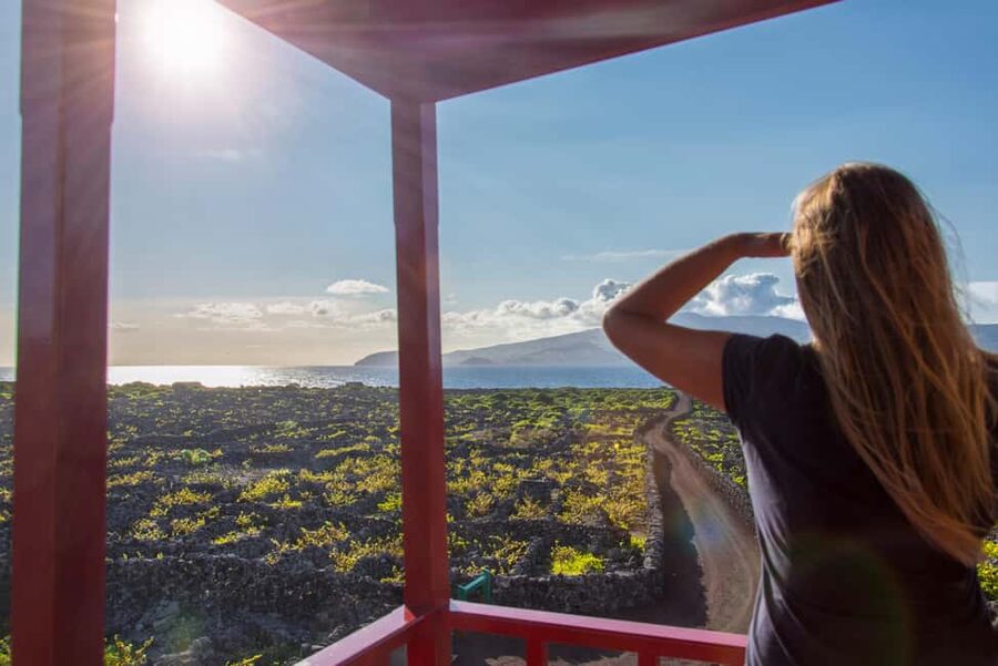 Pico Island: Wine and Vineyards Tour with Tasting - Criação Velha: a UNESCO-listed vineyard area