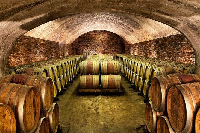 Piemonte Vineyards by Yourself from Turin - Business Car with English Chauffeur - Lunch with Piedmontese food