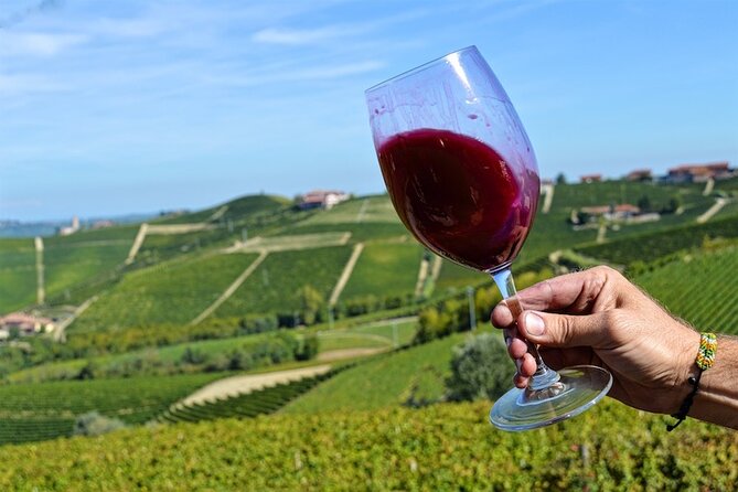 Piemonte Vineyards by Yourself from Turin by Luxury Van with English Chauffeur - Key points to know before booking