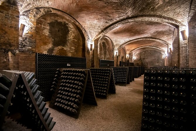 Piemonte Vineyards by Yourself from Turin by Luxury Van with English Chauffeur - Lunch with local dishes