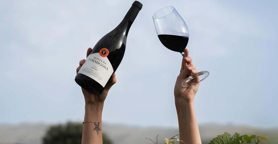 Pinhão: Quinta da Formigosa Vineyard Tour and Wine Tasting - A small estate with a big Douro view