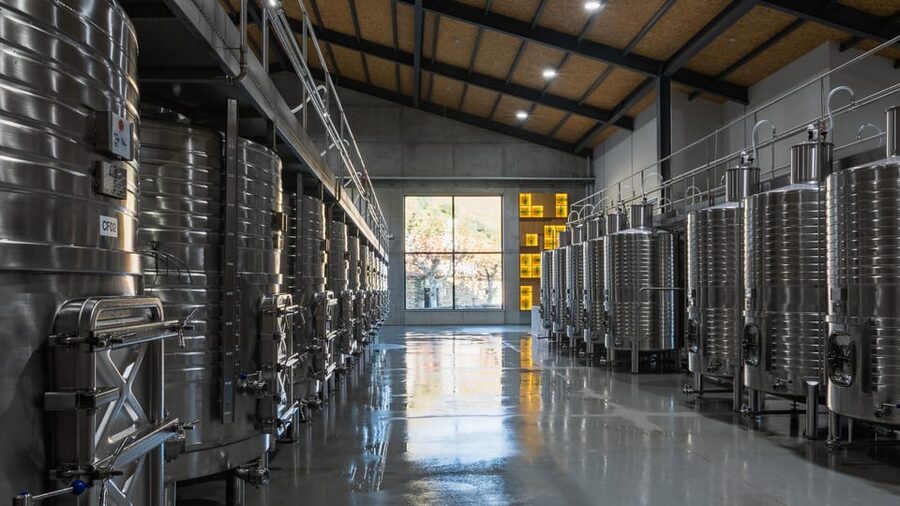 Pinhão: Quinta da Formigosa Vineyard Tour and Wine Tasting - Is $35 a fair price?