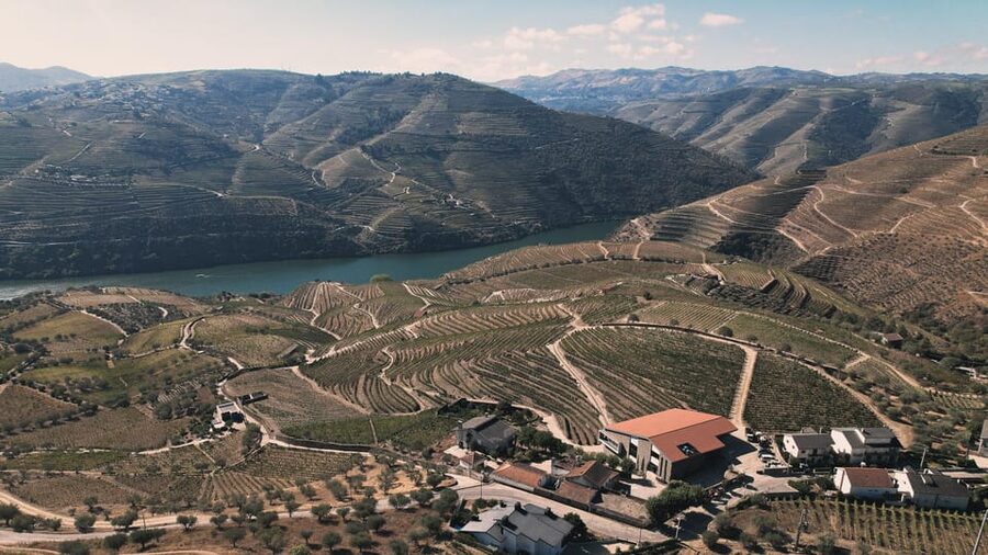 Pinhão: Quinta da Formigosa Vineyard Tour and Wine Tasting - Who will enjoy Quinta da Formigosa?