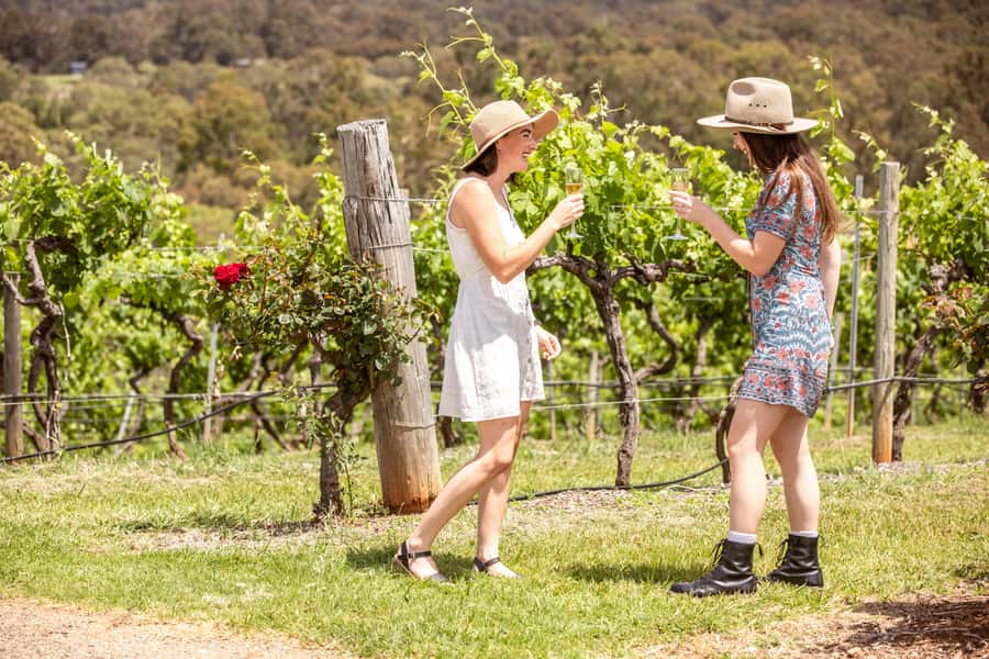 Pokolbin: Picnic & Wine Tasting at Audrey Wilkinson Vineyard - Who will enjoy this experience most