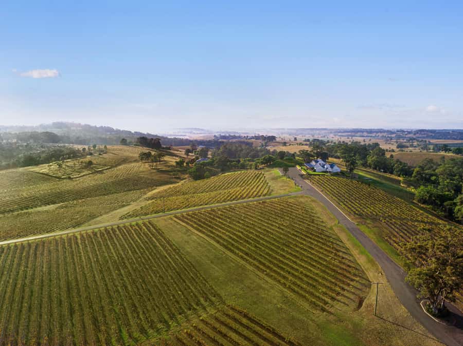 Pokolbin: Picnic & Wine Tasting at Audrey Wilkinson Vineyard - Starting with the on-site museum