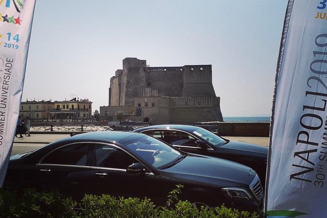 Pompeii excavations and its vineyards - The Naples departure and private minivan