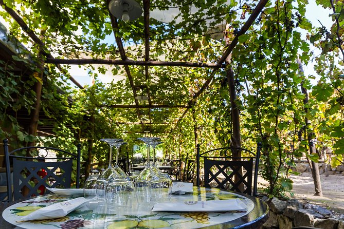 Pompeii Vineyard Escape: Private Wine Tasting & Lunch - Timing, meeting point, and getting there