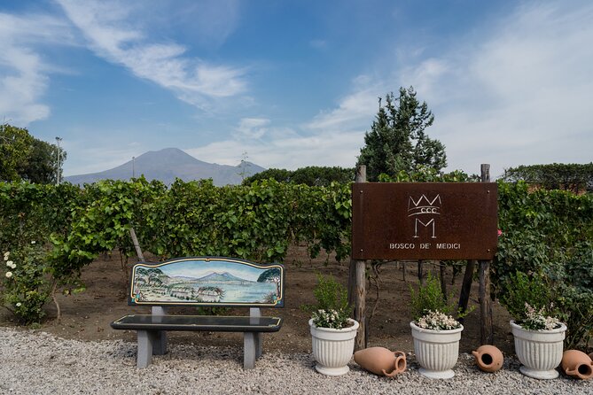 Pompeii Vineyard Escape: Private Wine Tasting & Lunch - Inside the winemaking and refining rooms
