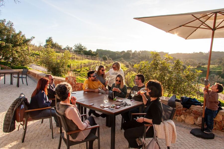 Porches: Algarve Vineyard Tour and Wine Tasting Experience - The vineyard walk and the best photo spots