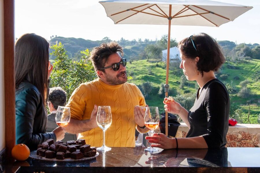 Porches: Algarve Vineyard Tour and Wine Tasting Experience - Four wines, with Algarve tapas on the table