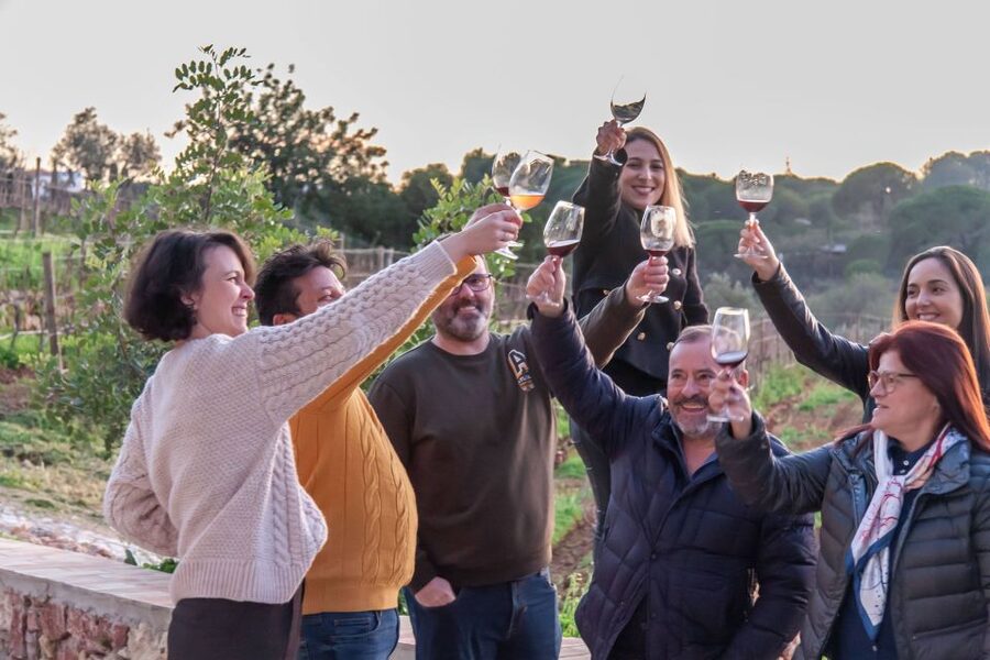 Porches: Algarve Vineyard Tour and Wine Tasting Experience - What the guides do especially well