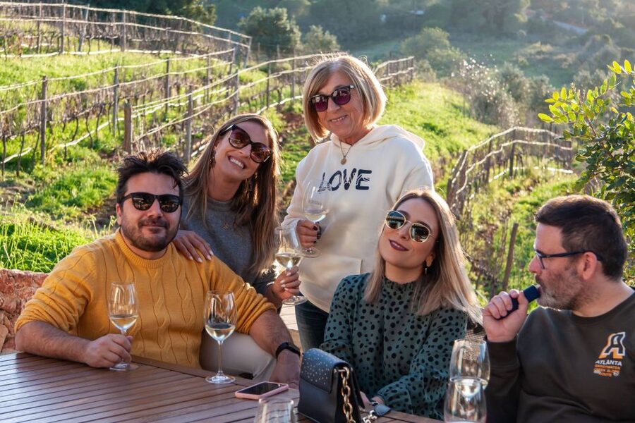 Porches: Algarve Vineyard Tour and Wine Tasting Experience - Is $91 a fair price?