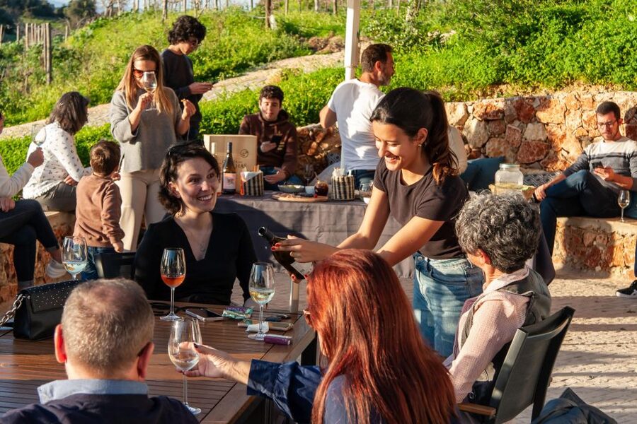 Porches: Algarve Vineyard Tour and Wine Tasting Experience - Practical tips for a smoother visit