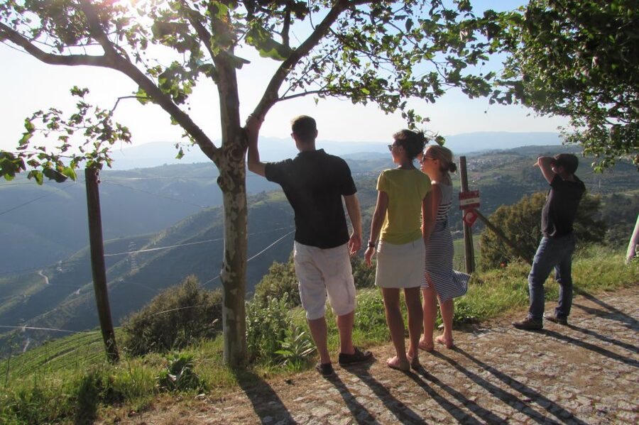 Porto: 3 Douro Valley Vineyards Tour with Lunch - Key points at a glance