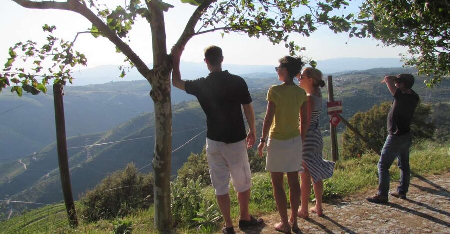 Porto: 3 Douro Valley Vineyards Tour with Lunch - Second stop: views, Port, and a slower pause