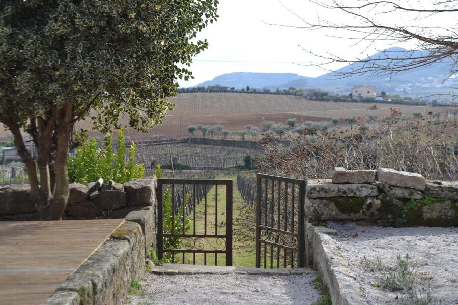 Porto: 3 Douro Valley Vineyards Tour with Lunch - Guides, comfort, and the human side of the day