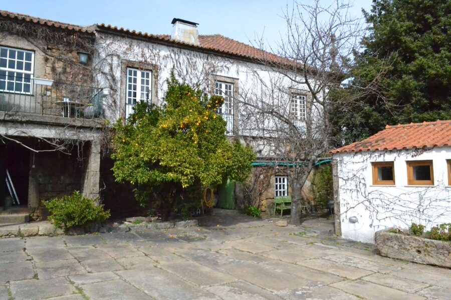 Porto: 3 Douro Valley Vineyards Tour with Lunch - First winery: family hospitality and wine basics