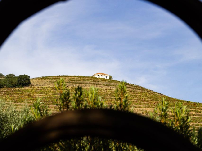 Porto: 3 Wine Regions & Farm Lunch with Views Small-Group - Price, group size, and what the $118 covers