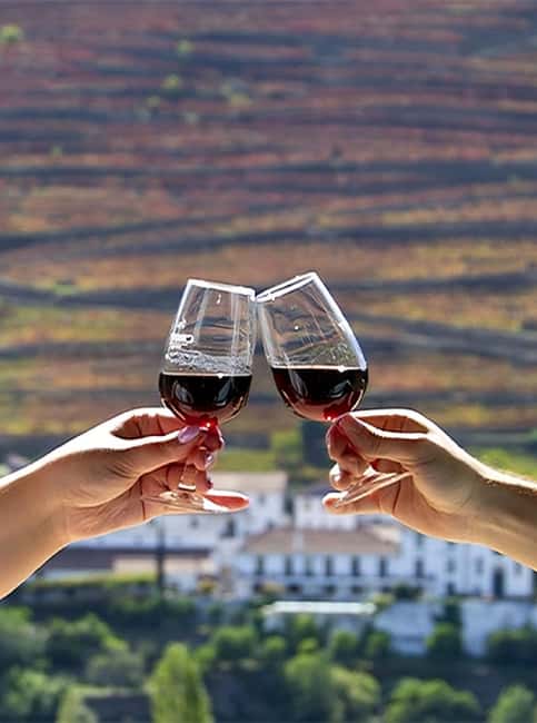 Porto: 3 Wine Regions & Farm Lunch with Views Small-Group - The first winery: begin with DOC Douro and Port