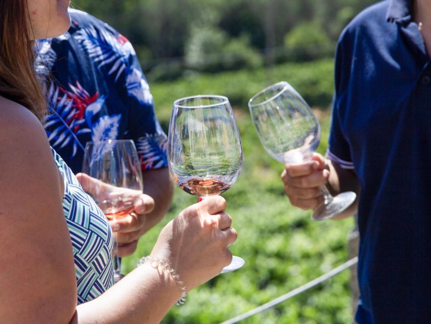 Porto: 3 Wine Regions & Farm Lunch with Views Small-Group - Lunch in Sabrosa with wine and vineyard views