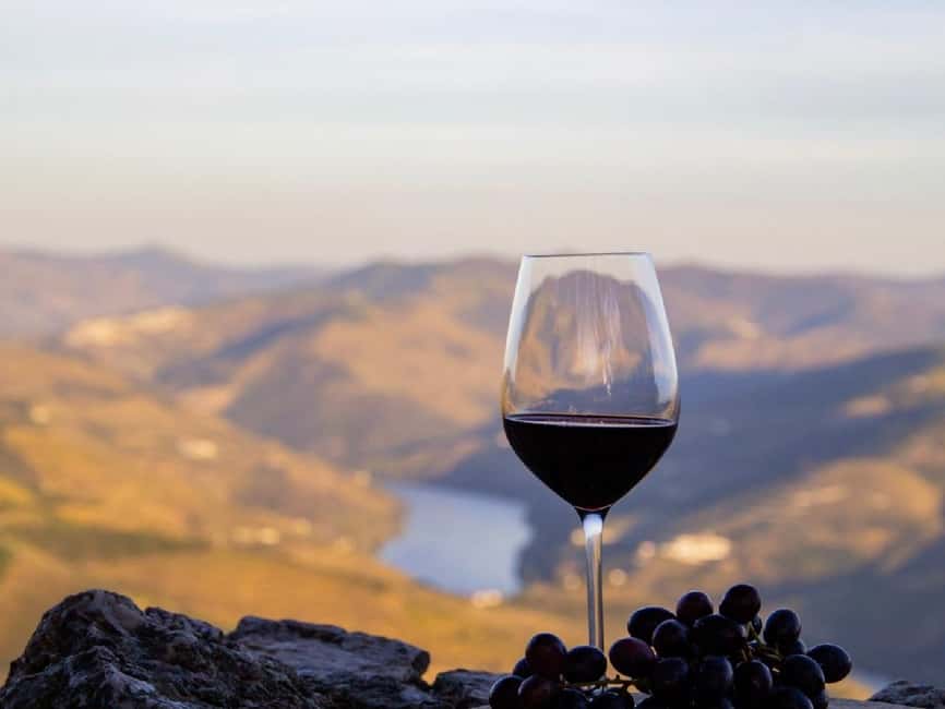 Porto: 3 Wine Regions & Farm Lunch with Views Small-Group - The second and third estates in the afternoon