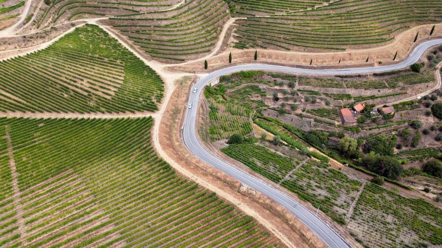 Porto: 3 Wine Regions & Farm Lunch with Views Small-Group - Is three wineries the right amount?