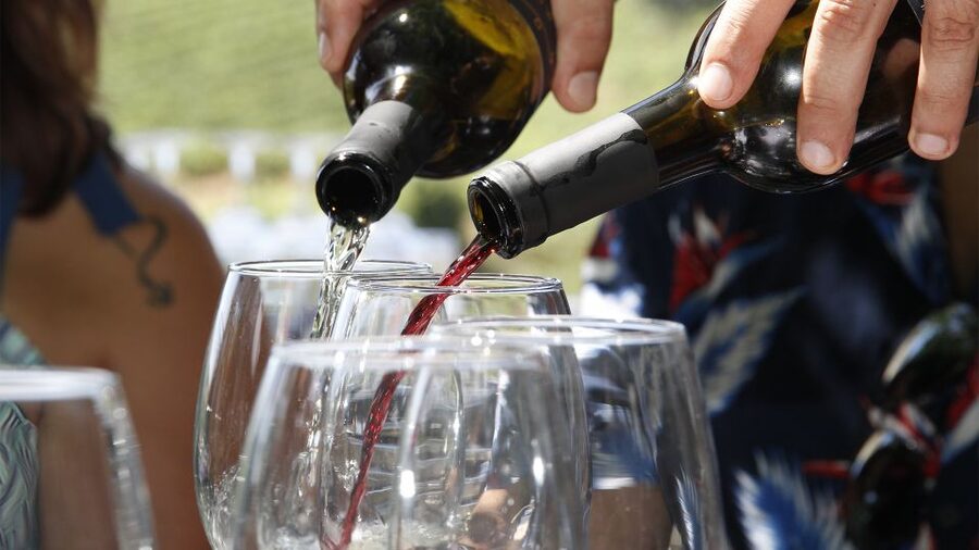Porto: 3 Wine Regions & Farm Lunch with Views Small-Group - The early road to the Douro
