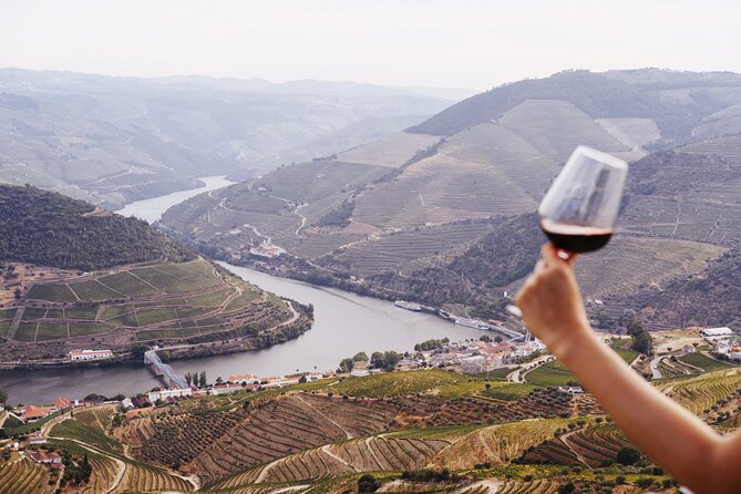 Porto: Douro Valley, 2 Wine Regions, Sommelier, Boat Trip & Lunch - One hour on the Douro River