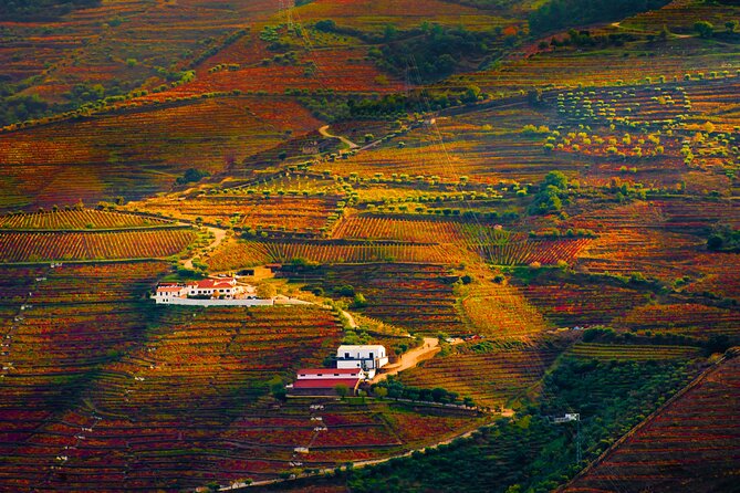 Porto: Douro Valley, 2 Wine Regions, Sommelier, Boat Trip & Lunch - The second winery in Sabrosa