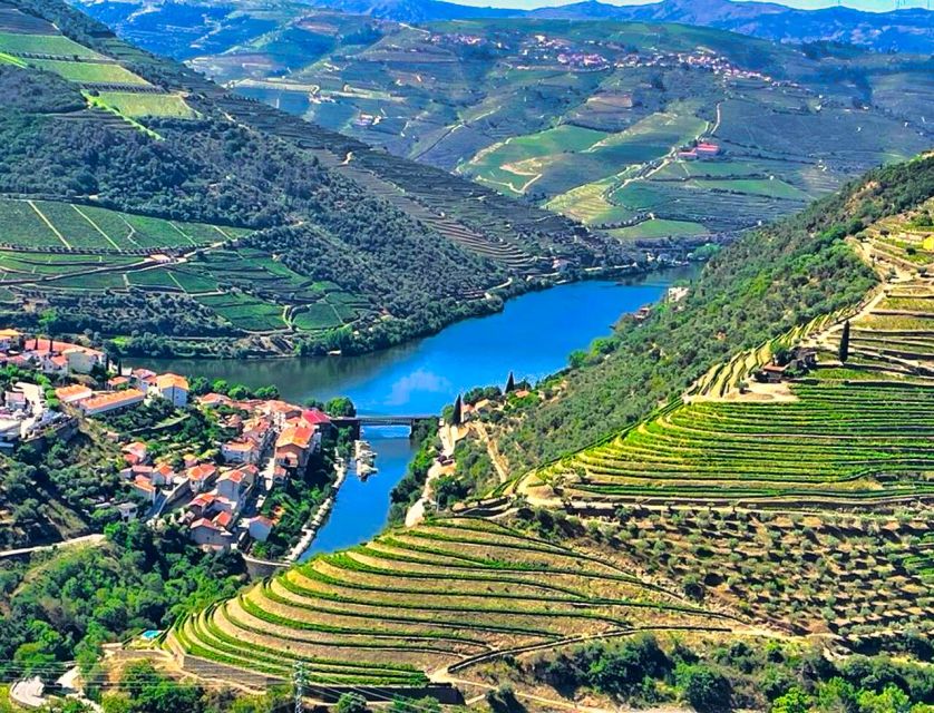 Porto: Douro Valley Private Tour 2 Vineyards & River Cruise - From Porto to the N222