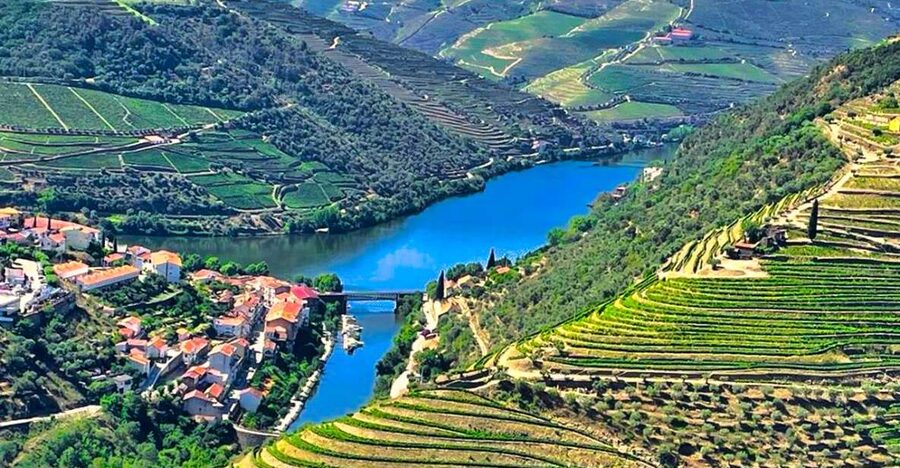 Porto: Douro Valley Private Tour 2 Vineyards & River Cruise - Wine, Olive Oil, and a Winery Lunch