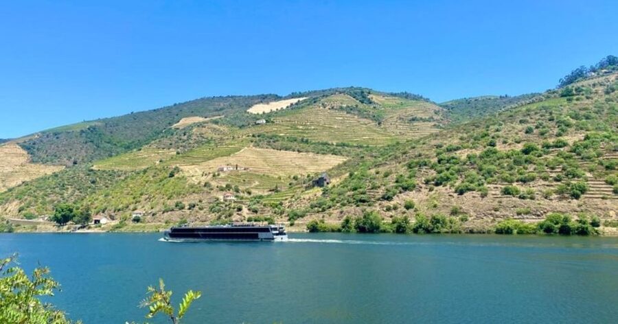 Porto: Douro Valley Private Tour 2 Vineyards & River Cruise - The Two Vineyard Visits