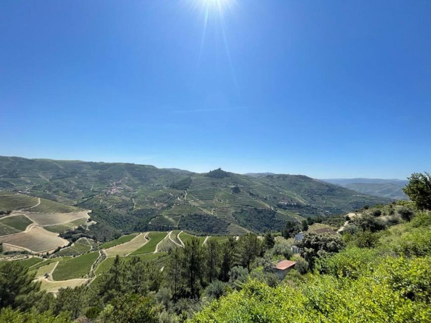 Porto: Douro Valley Private Tour 2 Vineyards & River Cruise - São Cristovão do Douro and the Viewpoints