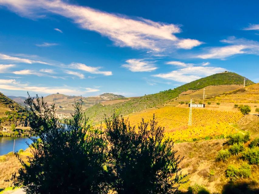 Porto: Douro Valley Private Tour 2 Vineyards & River Cruise - What the Private Price Includes