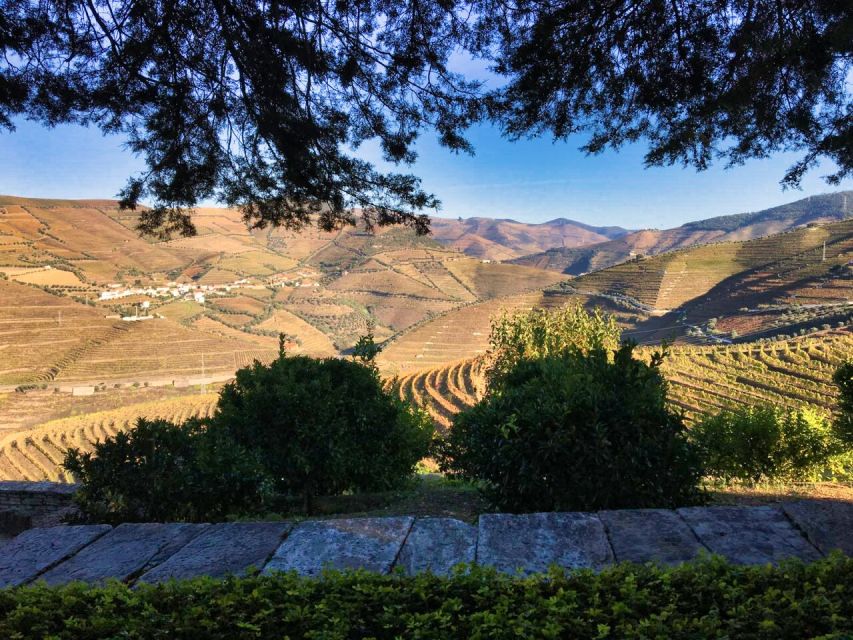 Porto: Douro Valley Private Tour 2 Vineyards & River Cruise - Practical Details Before You Book
