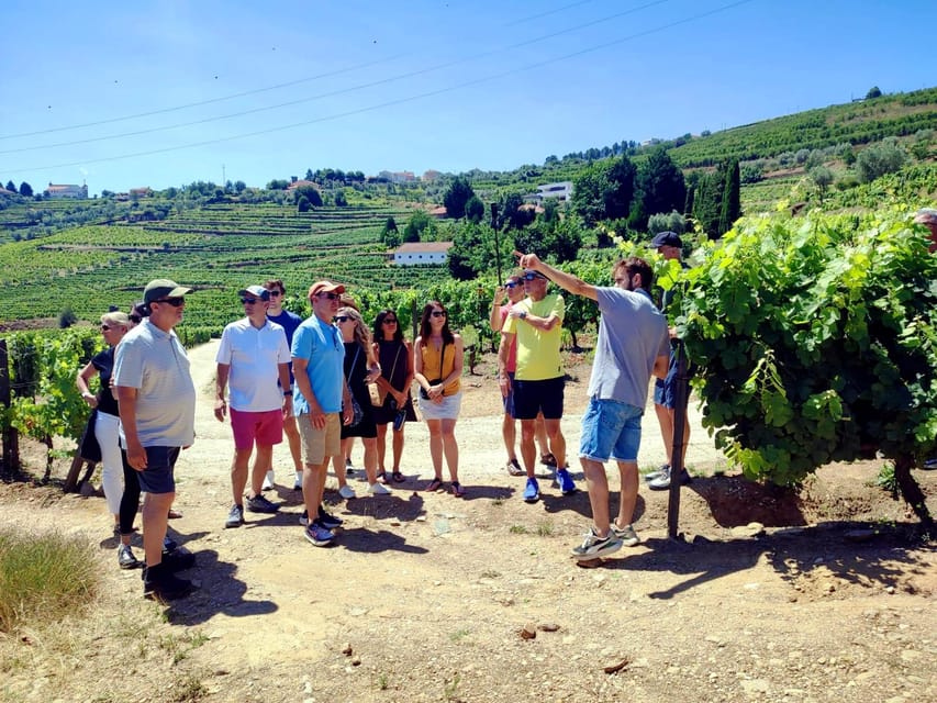 Porto: Douro Valley Vineyards Tour with Lunch & River Cruise - Key points at a glance