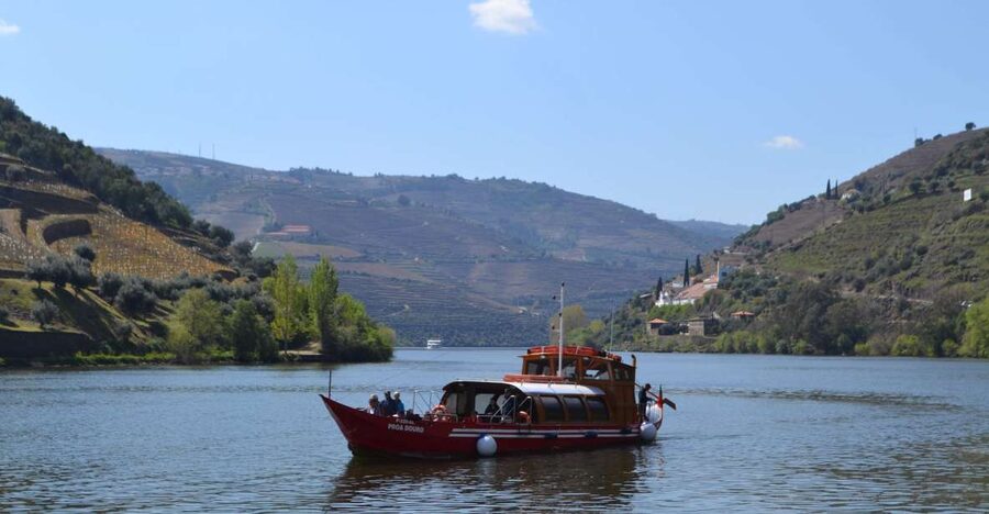 Porto: Douro Valley Vineyards Tour with Lunch & River Cruise - First vineyard stop in Lamego