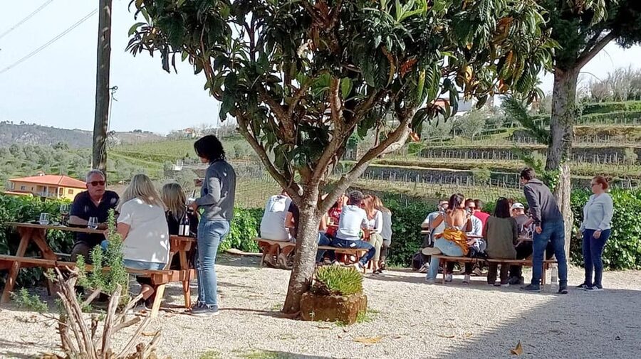 Porto: Douro Valley Vineyards Tour with Lunch & River Cruise - Lunch at a vineyard in Sabrosa