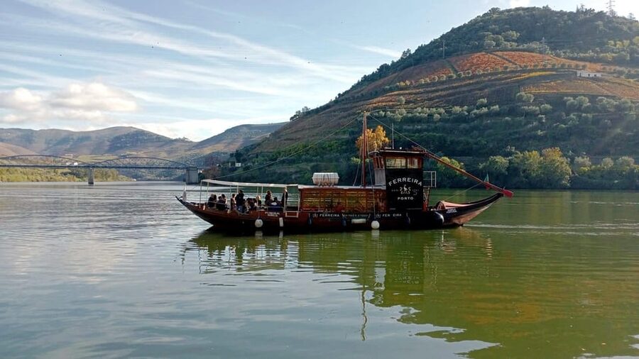 Porto: Douro Valley Vineyards Tour with Lunch & River Cruise - How much walking and sitting should you expect?
