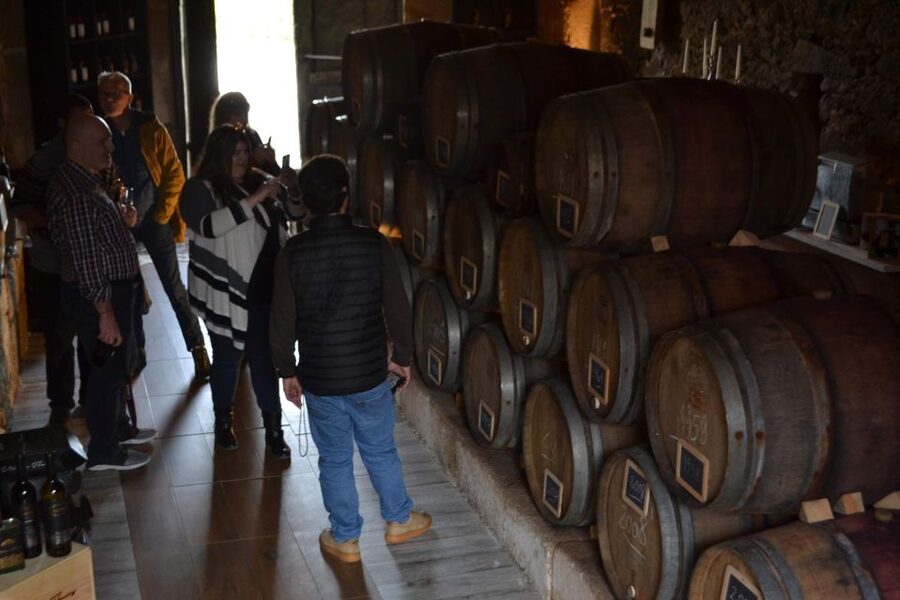 Porto: Douro Valley Vineyards Tour with Lunch & River Cruise - Leaving Porto in a comfortable vehicle